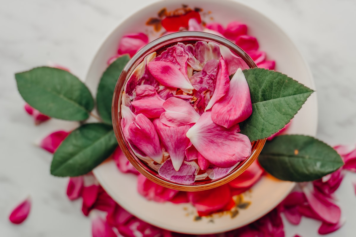 Hibiscus and Rose Hip Antioxidant Blend